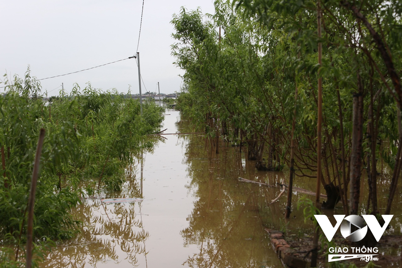 Trước đó, vào ngày 10/9, nước bắt đầu dâng