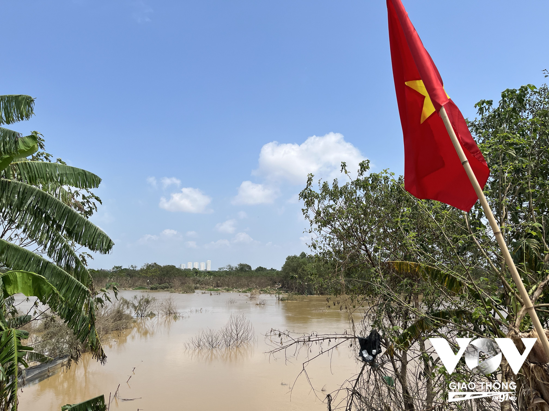 Hơn 20 năm, người Tứ Liên, Nhật Tân mới chứng kiến nước sông Hồng dâng cao đến vậy. Đến hôm nay, nước đã rút xuống 6-7m so với ngày đạt đỉnh là ngày 11-12/9