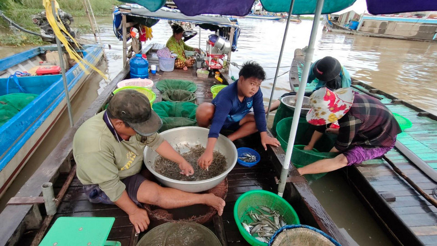 Suốt thời gian này, nông dân hành nghề đánh bắt thủy sản có mặt trên các cánh đồng ngập nước để đặt dớn bắt cá, cua, tép...