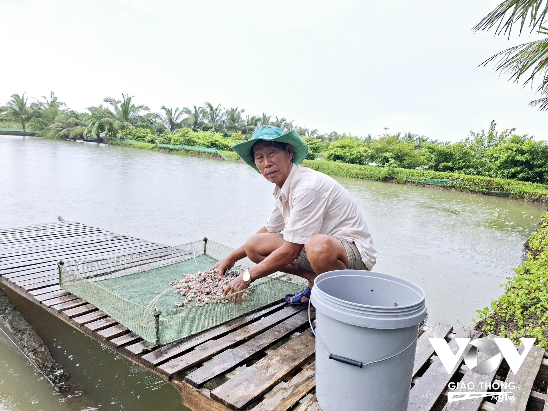 76 tuổi, nhưng lão nông Bảy Ánh vẫn còn nhiều đam mê với nghề nuôi cá chình