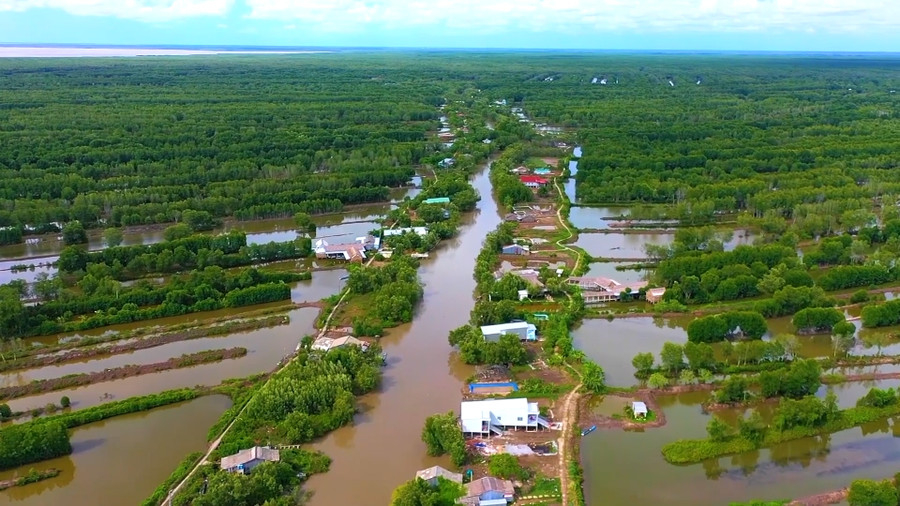 Năm Căn và Ngọc Hiển đang là 'vương quốc' tôm sinh thái của ĐBSCL với diện tích tôm rừng lớn nhất. Cho con tôm chắc thịt, vỏ cứng và size lớn.