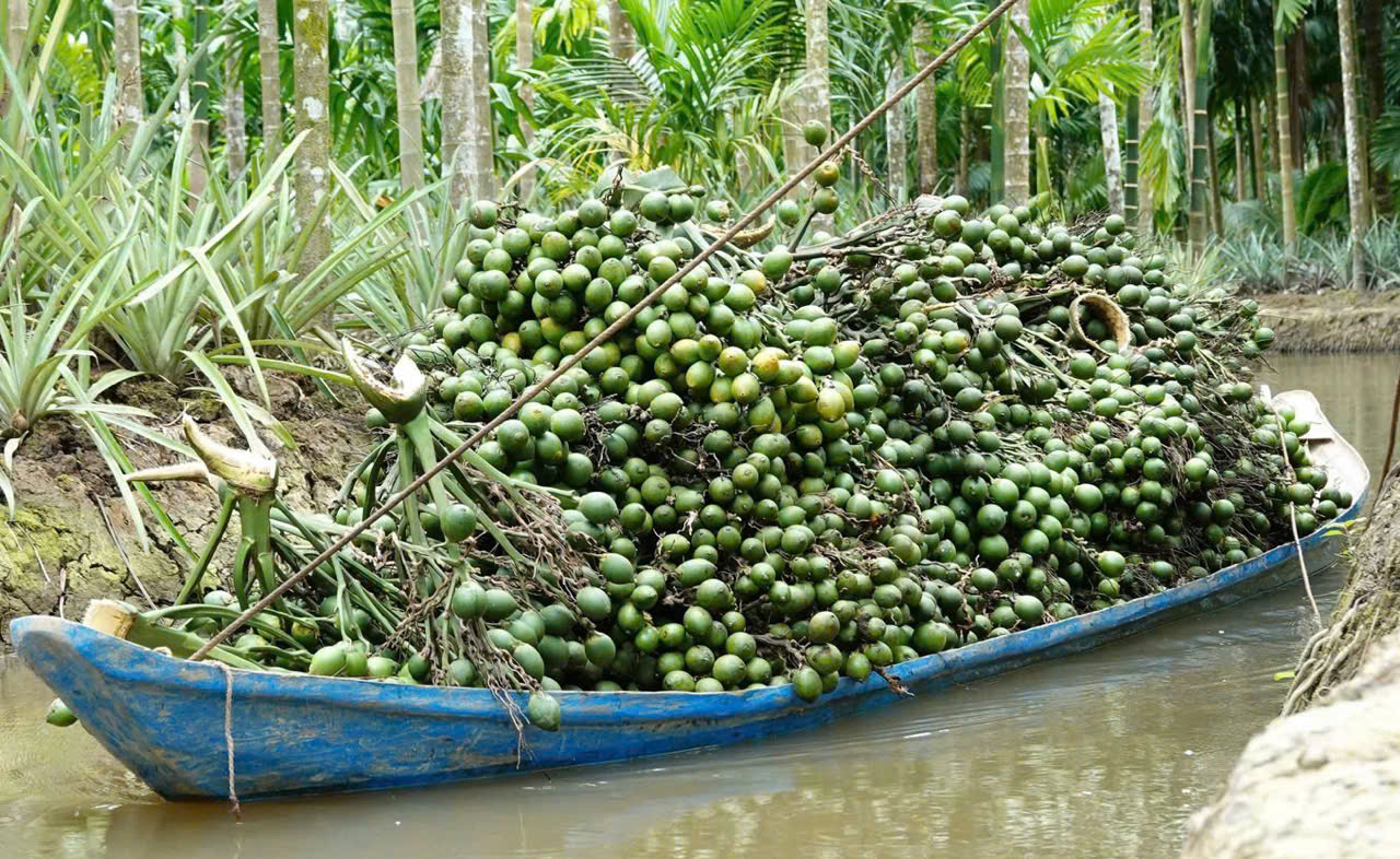 Giá cao non trong 2 ngày đã giảm 50.000 đồng/kg, từ 90.000 còn 40.000.