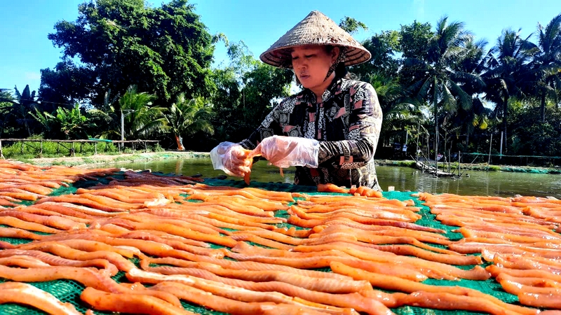 Mỗi một hộ dân sống ven đường là một tiểu thương và cũng là hộ sản xuất. Trước cửa mỗi nhà đều có giàn phơi khô, cứ như thế, vừa phơi, vừa bán.