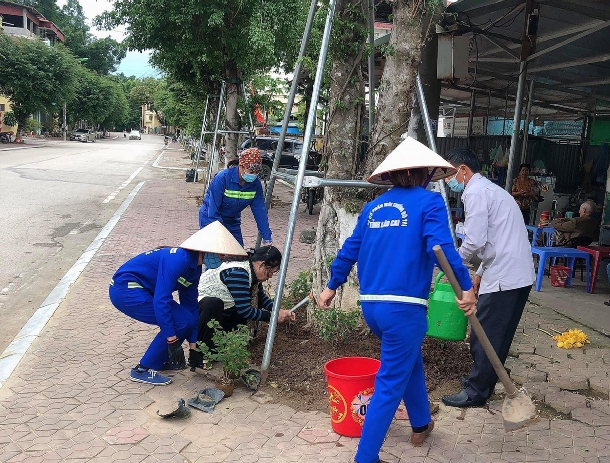 Các chị em công nhân môi trường trồng và chăm sóc các “gốc cây nở hoa”