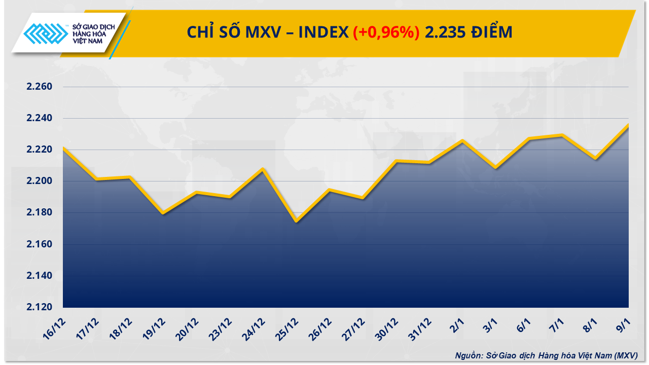 MXV-Index