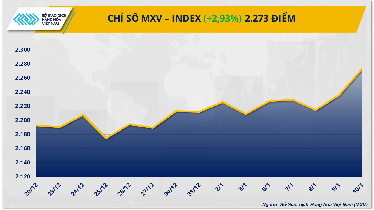 mxv-index (1)