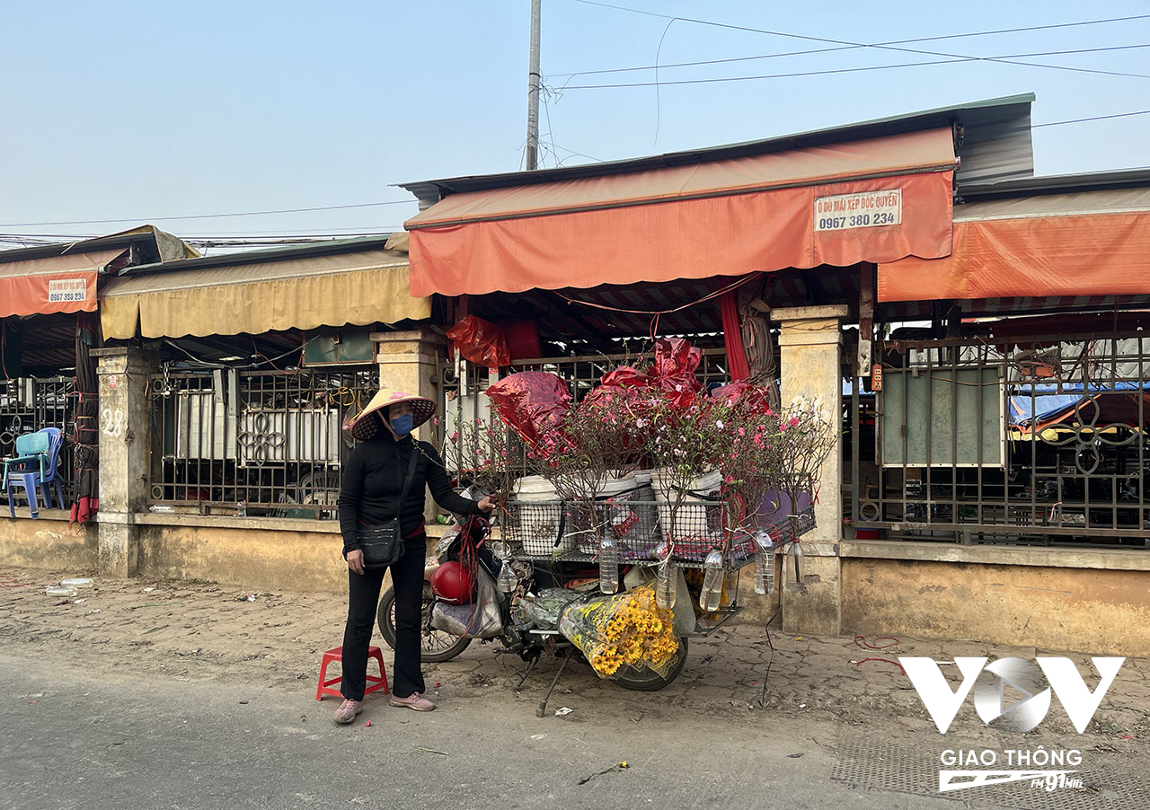 Do mất mùa hoa đào vì trận lụt lịch sử vừa qua, nên đến giờ chợ hoa này có khá ít người mang đào ra bán