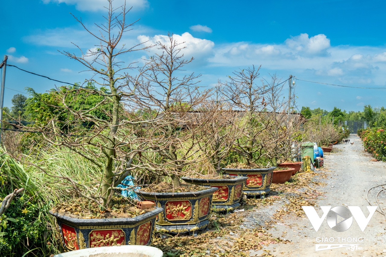 Do thu nhập của người dân sụt giảm, khiến họ không còn mạnh tay chi tiêu cho những thú vui chơi ngày Tết