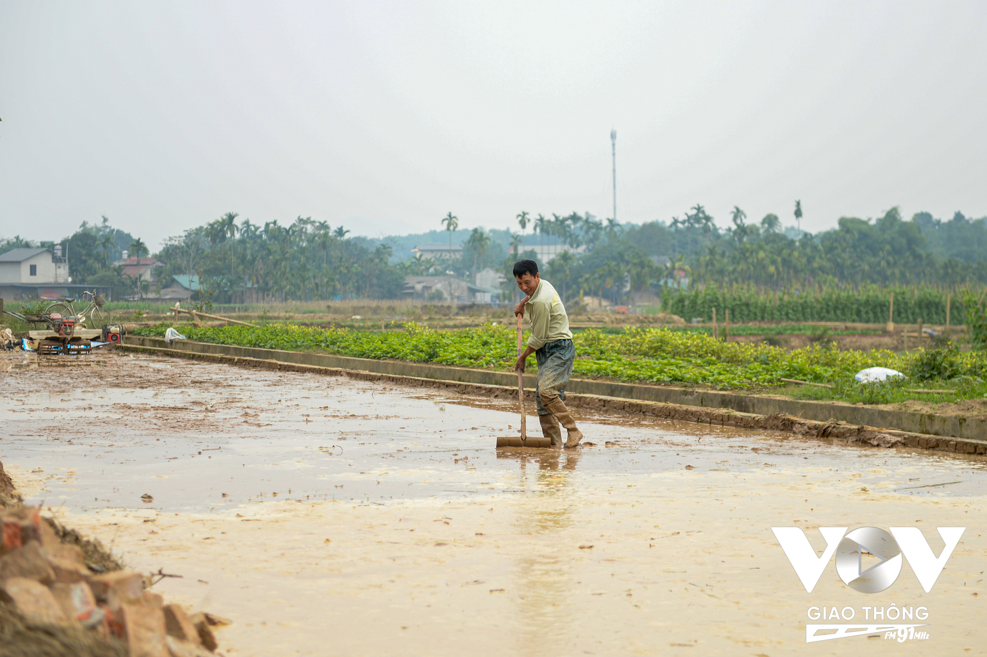 Những ngày bắt đầu khôi phục lại sản xuất đó, trên khắp các con đường, ngõ xóm, cánh đồng của Tuy Lộc, từ người già đến thanh niên đều chung tay để khắc phục hậu quả.