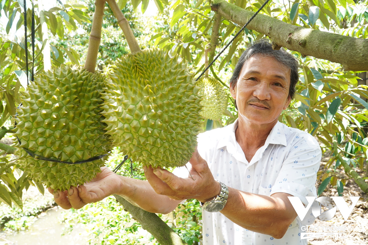 Nông dân cũng bội thu nhờ bán sầu riêng để xuất khẩu