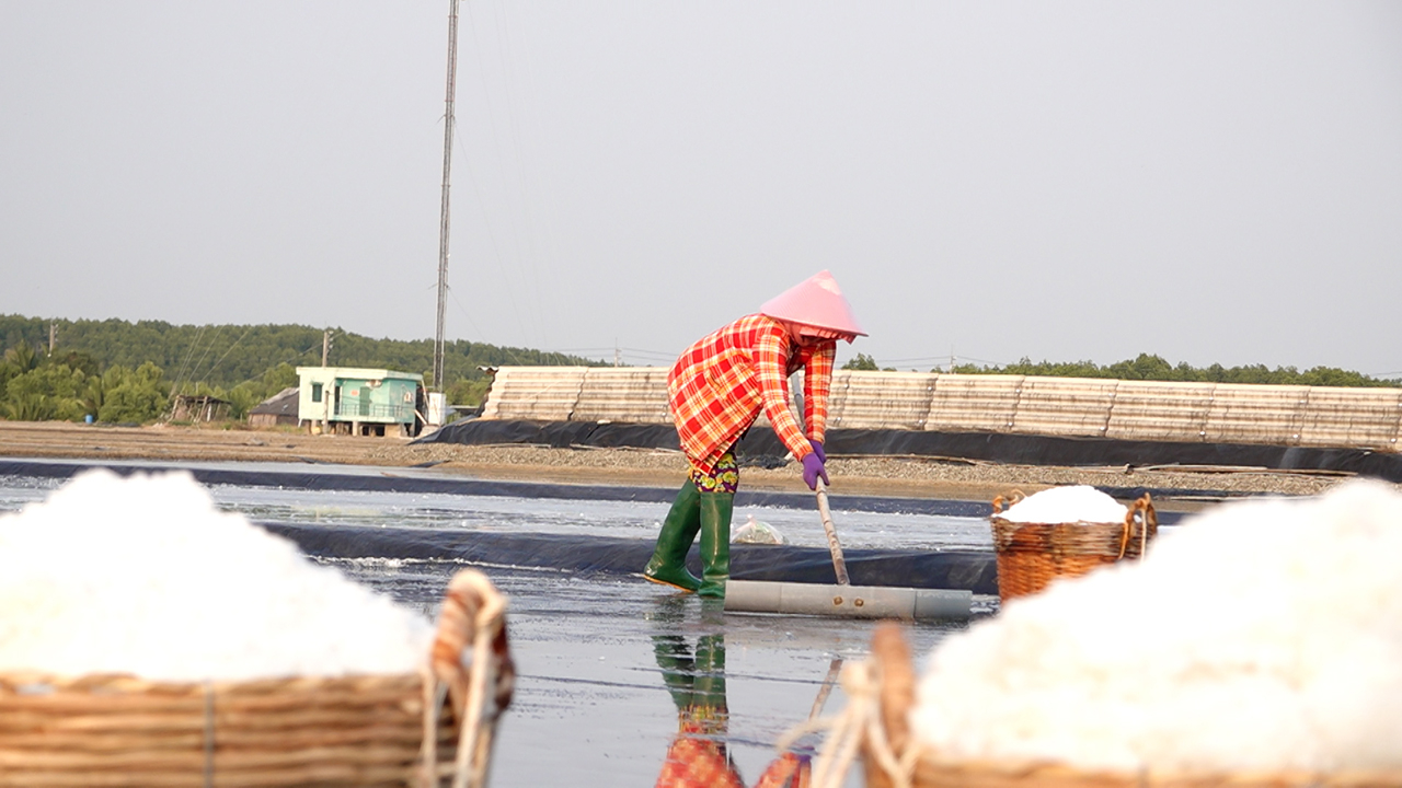 Ở ấp Thiềng Liềng, những người phụ nữ như bà Nguyễn Thị Dân (59 tuổi), đã gắn bó cả đời với nghề làm muối