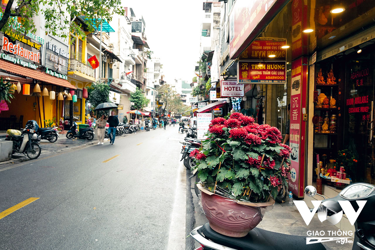 Một chậu hoa cúc cảnh với màu sắc khá lạ mắt vừa được mua về bày tết của một gia đình trên phố Cầu Gỗ