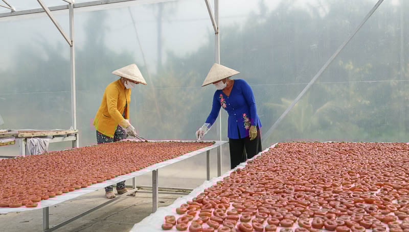 Mứt mận được phơi khoảng 15 ngày thì sẽ cho thành phẩm. (Ảnh: Lao động)