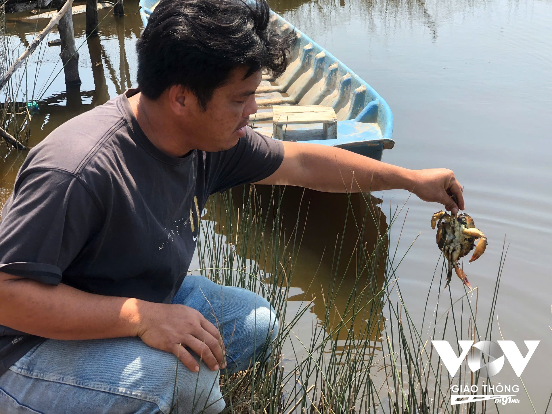 Việc 'đánh liều' bơm nước kênh Bà Lý vào ao nuôi có thể khiến người nông dân mất trắng