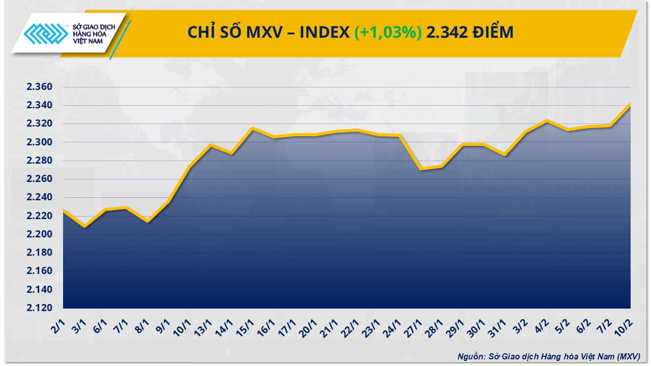 MXV-Index (6)