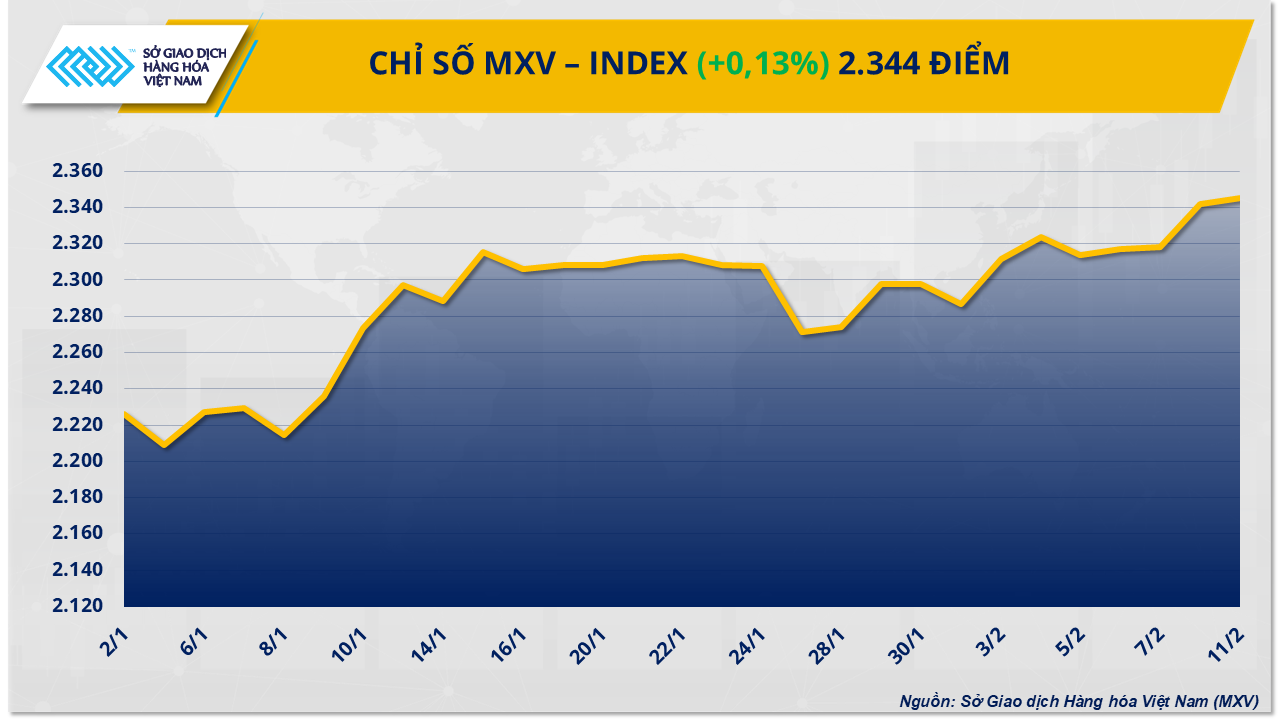 MXV-Index (7)