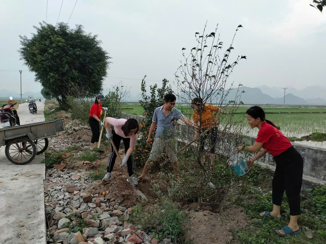 ...từ đó 'con đường cây Tết' dài hơn 1 km đã được hình thành