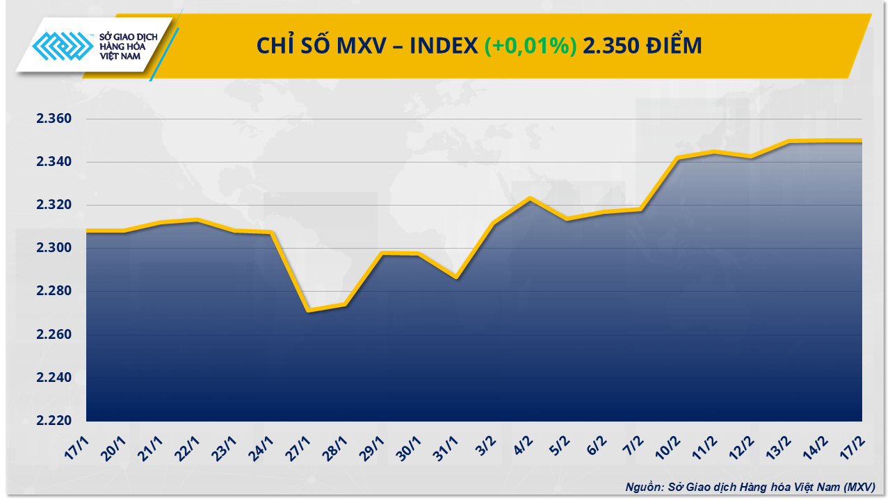 MXV-Index (8)