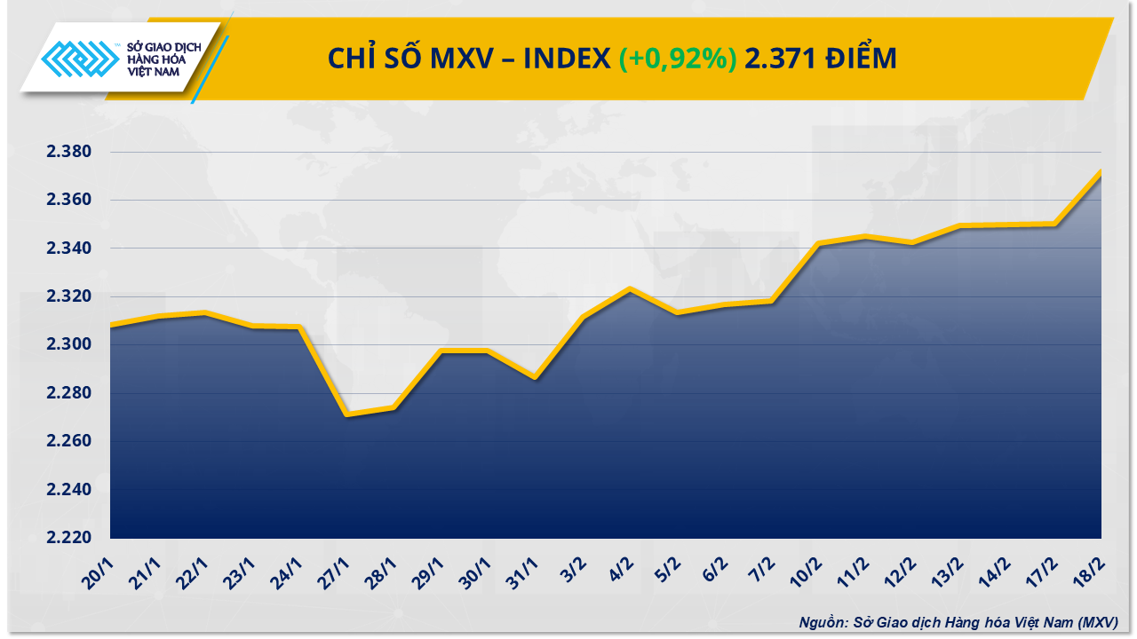 MXV-Index (9)