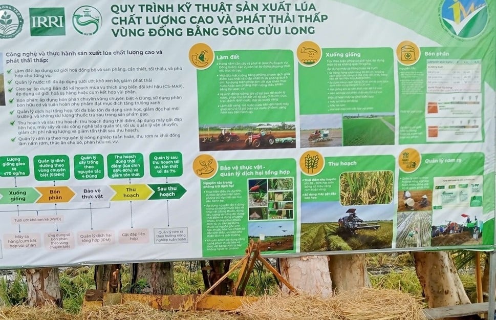 Chuỗi tuần hoàn từ rơm mà TP. Cần Thơ đang áp dụng đã cho ra một giá trị mới là từ 9-11 triệu/hecta. Một con số rất ấn tượng góp phần giải quyết việc làm cho địa phương và tạo giá trị tăng thêm