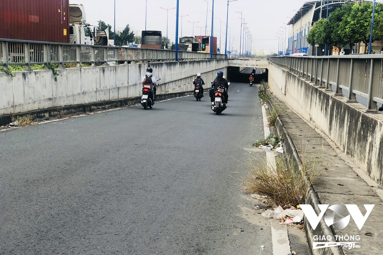 3- Hiện nay, bên trong hầm chui đầy rác và cây cỏ