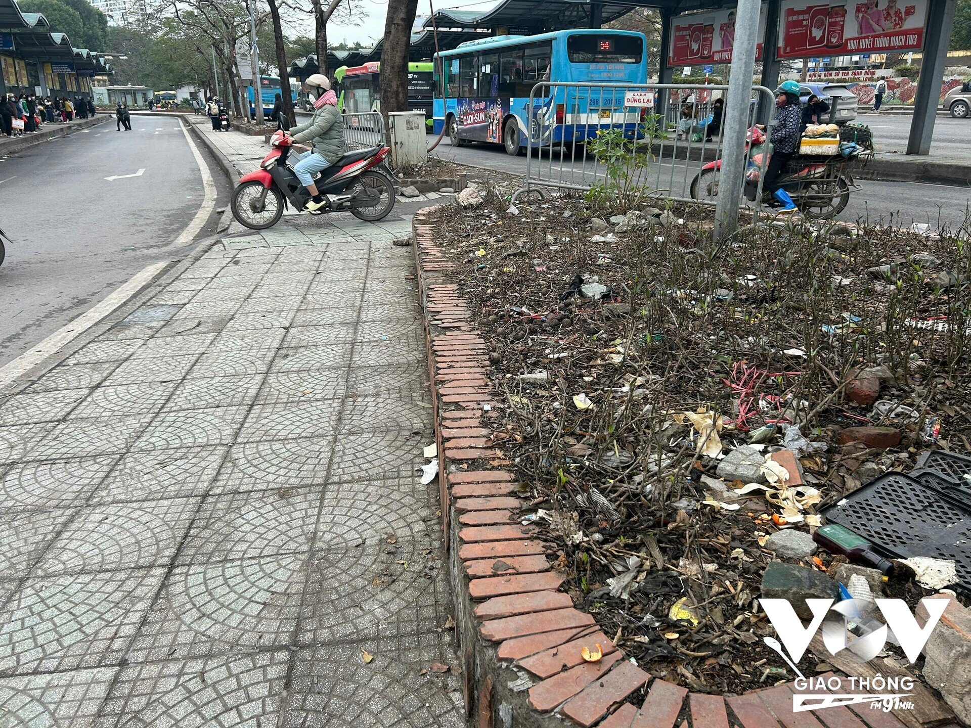 Khu vực vườn hoa cây cảnh xuanh quanh trạm trung chuyển Long Biên đã trở thành nơi vứt rác của người dân