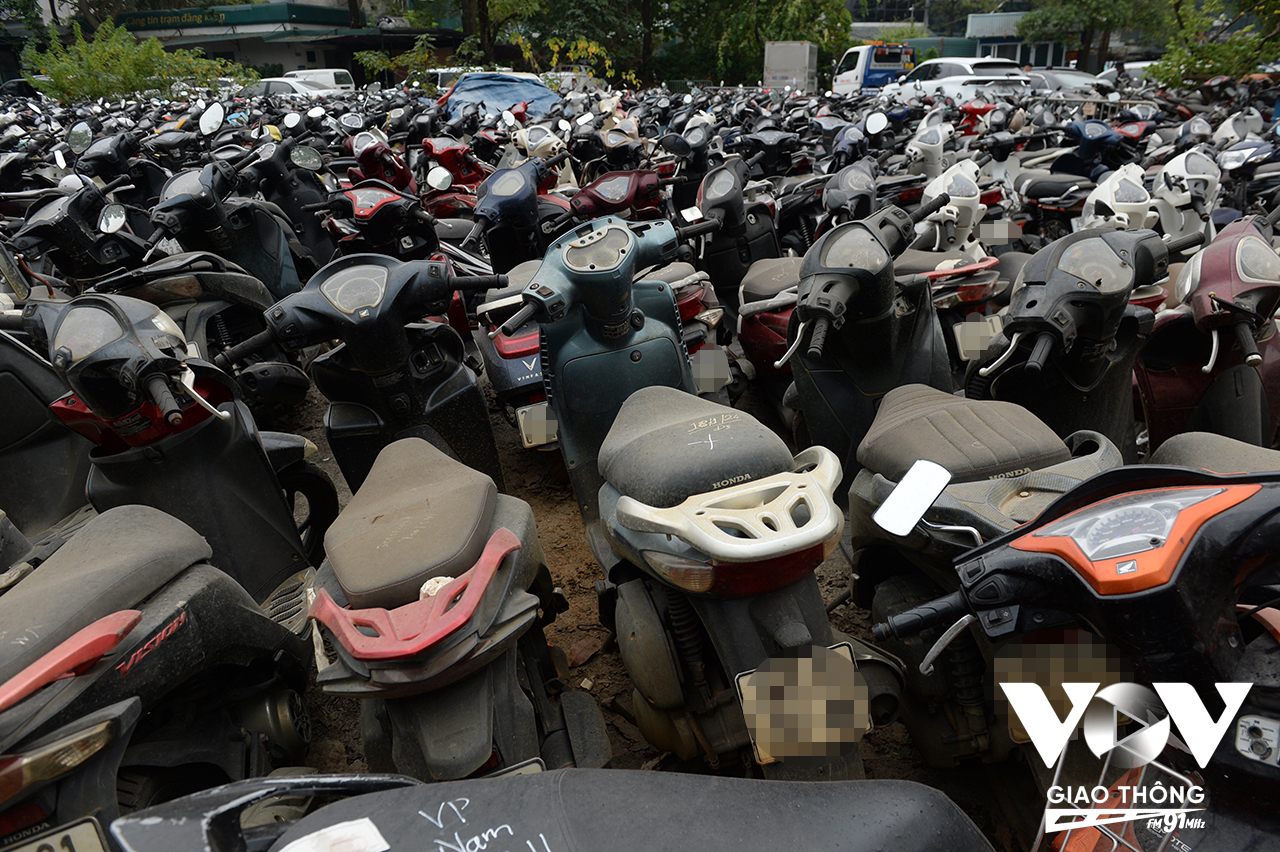 Những chiếc xe bị bụi phủ kín, chịu nắng mưa đã nhiều ngày