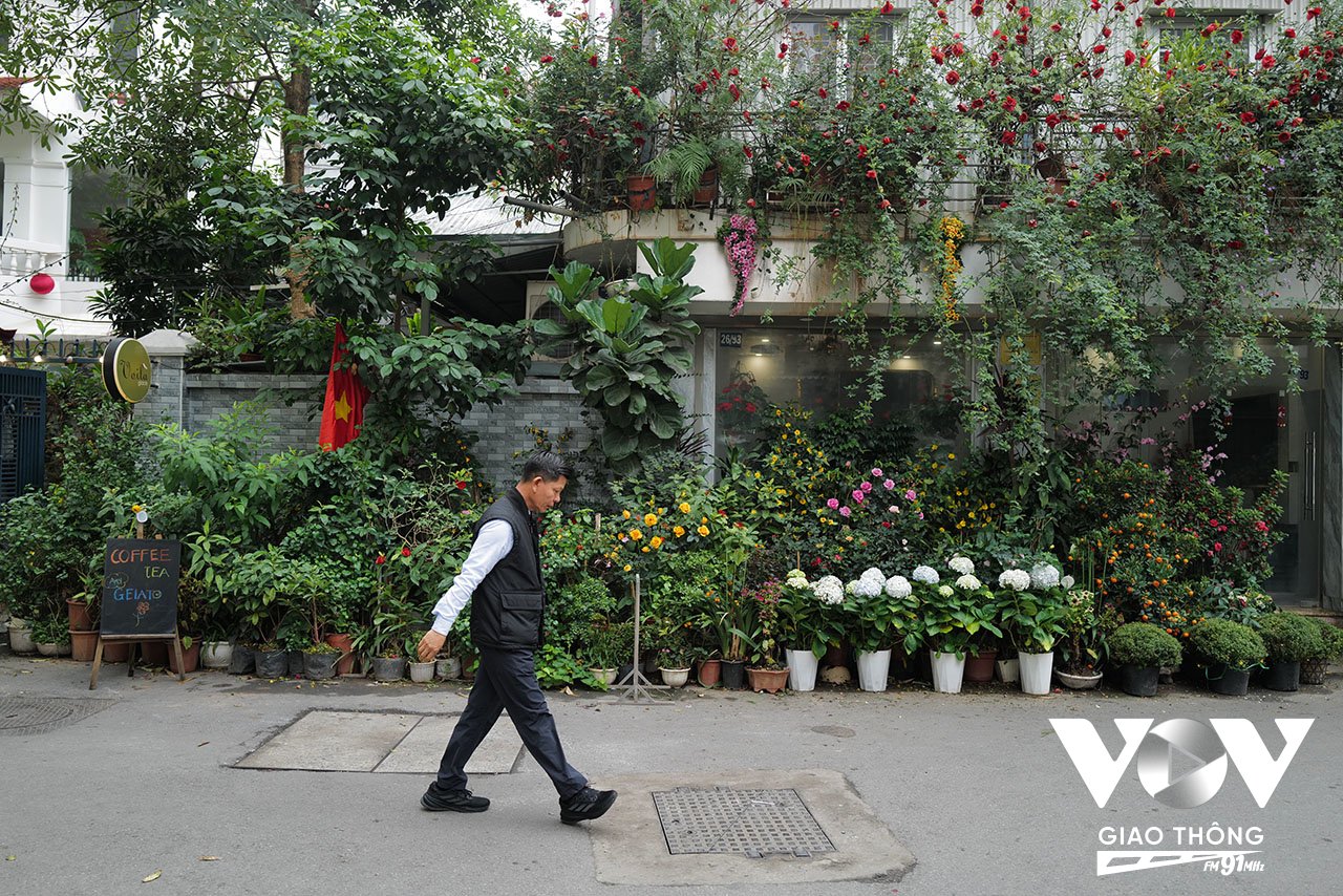Một góc phủ đầy hoa và cây xanh...