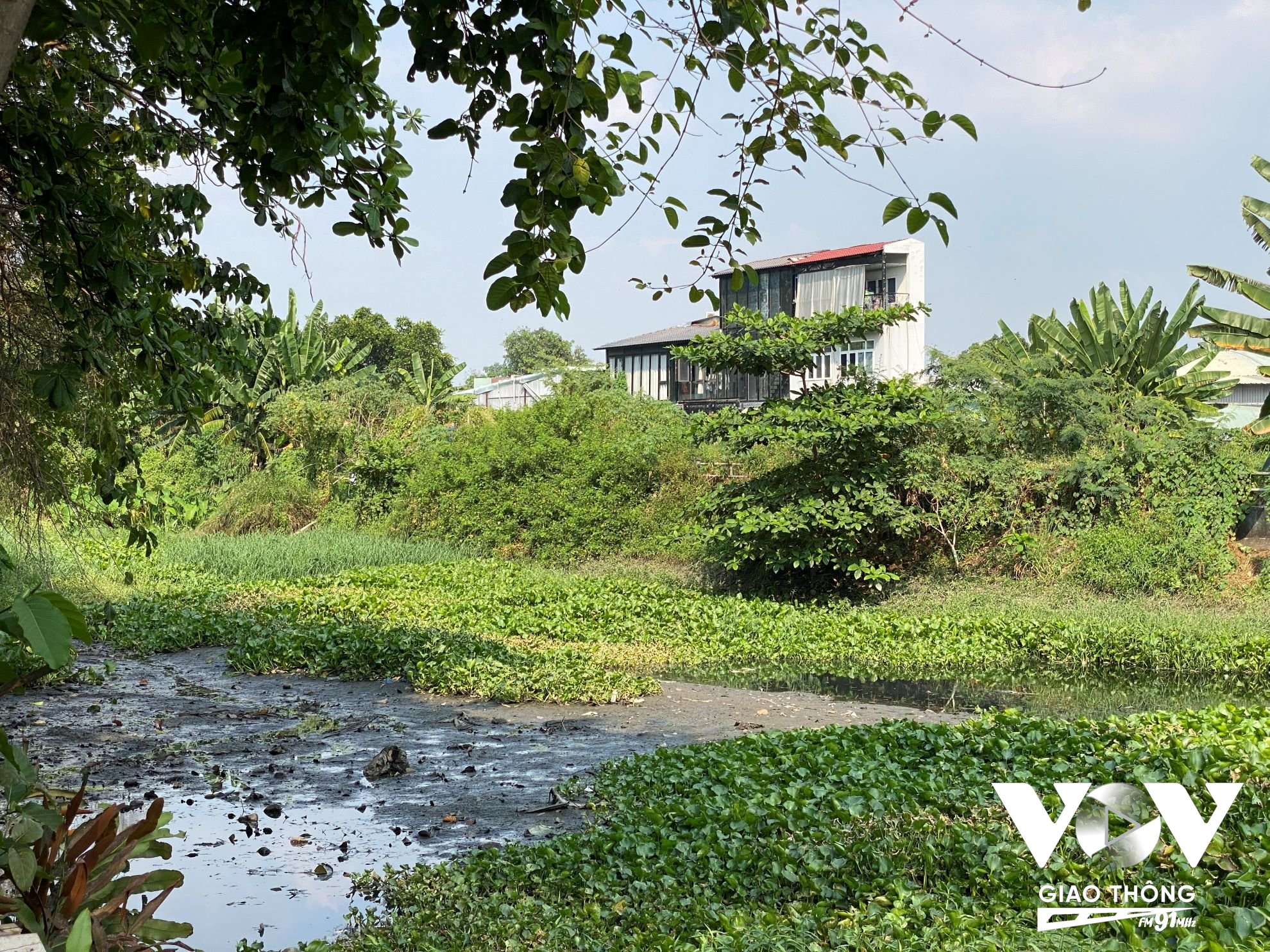 Con rạch thuộc dự án dài 1,3km với 138 trường hợp bị ảnh hưởng, trong đó có 1 tổ chức là Đại học Văn Lang có tổng diện tích thu hồi là gần 25.000 m2 đang bị ô nhiễm trầm trọng.