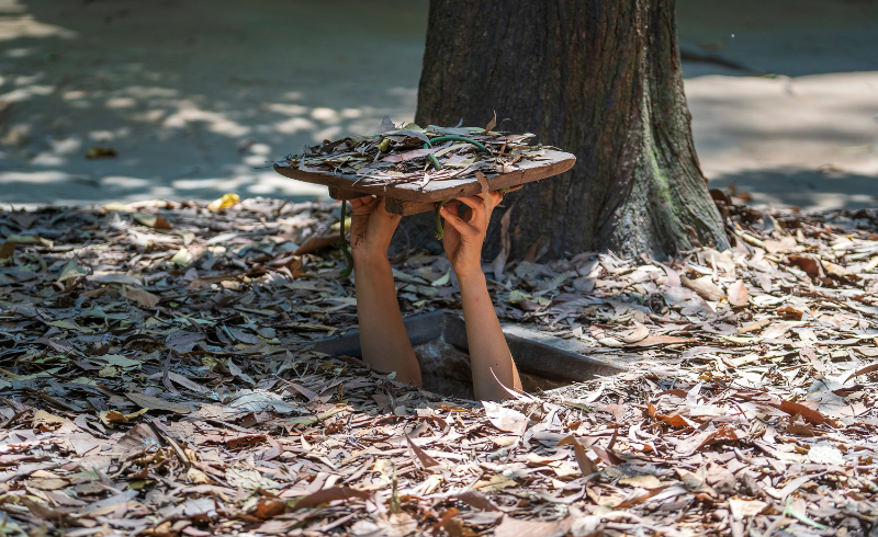 Địa đạo Củ Chi ngày càng phát triển, không chỉ là một công trình quân sự, di tích lịch sử cấp quốc gia mà địa đạo Củ Chi còn là điểm đến hấp dẫn các du khách trong và ngoài nước thu hút hàng triệu lượt khách mỗi năm