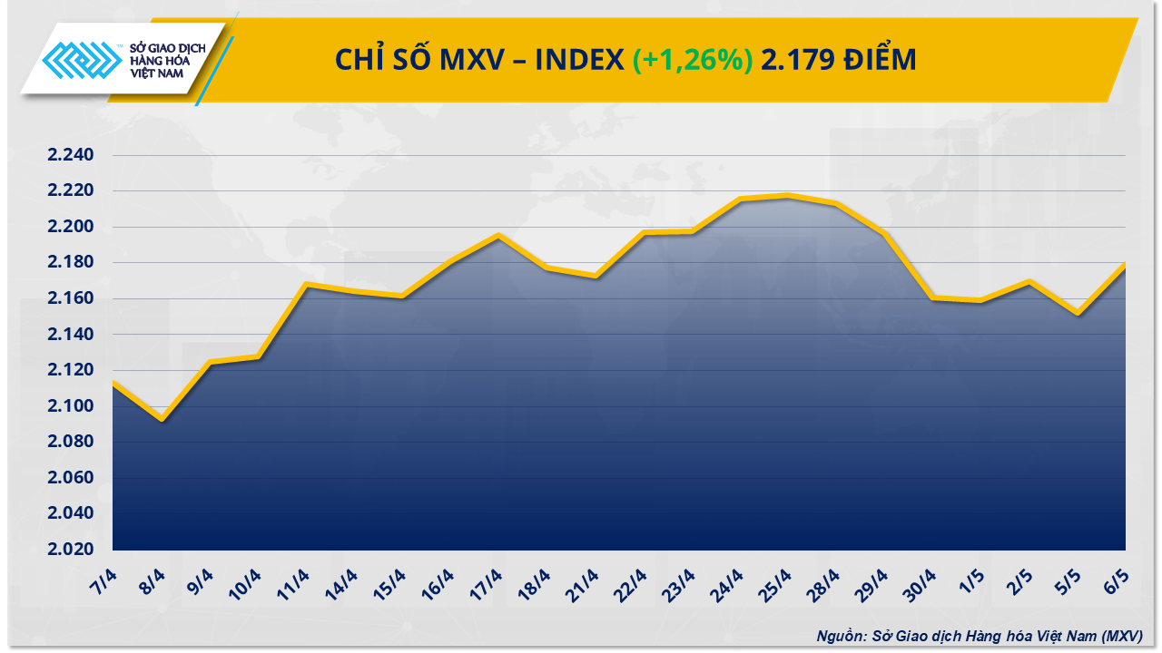 MXV-Index (31)