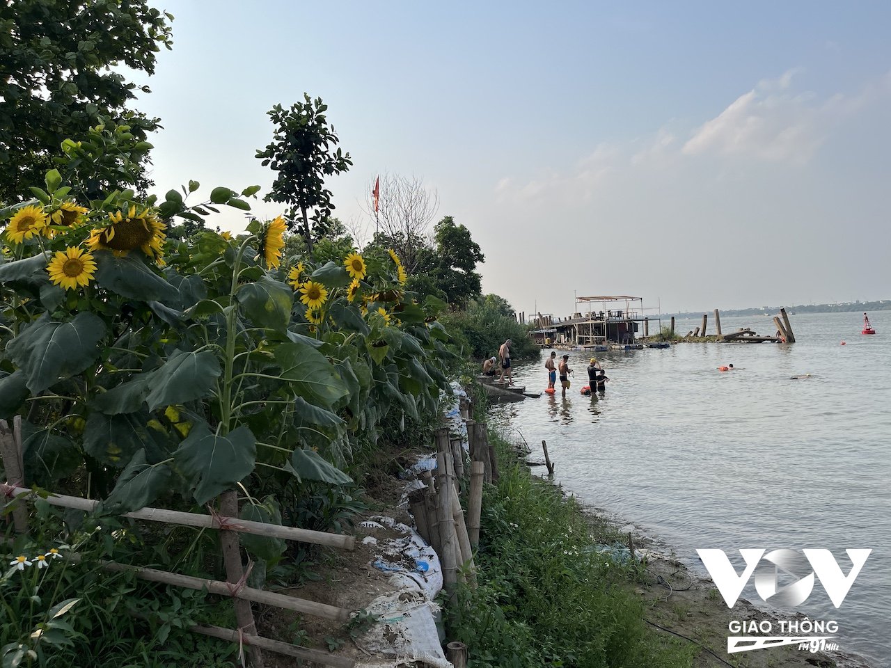 Không chỉ vào mùa hè các bãi tắm sông Hồng mới thu hút nhiều người tới bơi lội, tuy nhiên vào những ngày này, số lượng người rủ nhau đi tắm sông trở nên đông hơn, thường là vào buổi sáng sớm và chiều muộn...