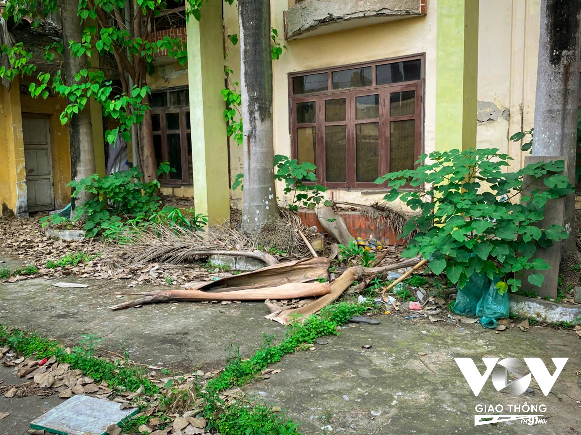 Khoảng sân phía trong khu đất bỏ hoang này vô cùng bừa bãi, lá cây khô chất thành đống, cỏ dại mọc um tùm, vài thùng xốp vứt chỏng chơ.