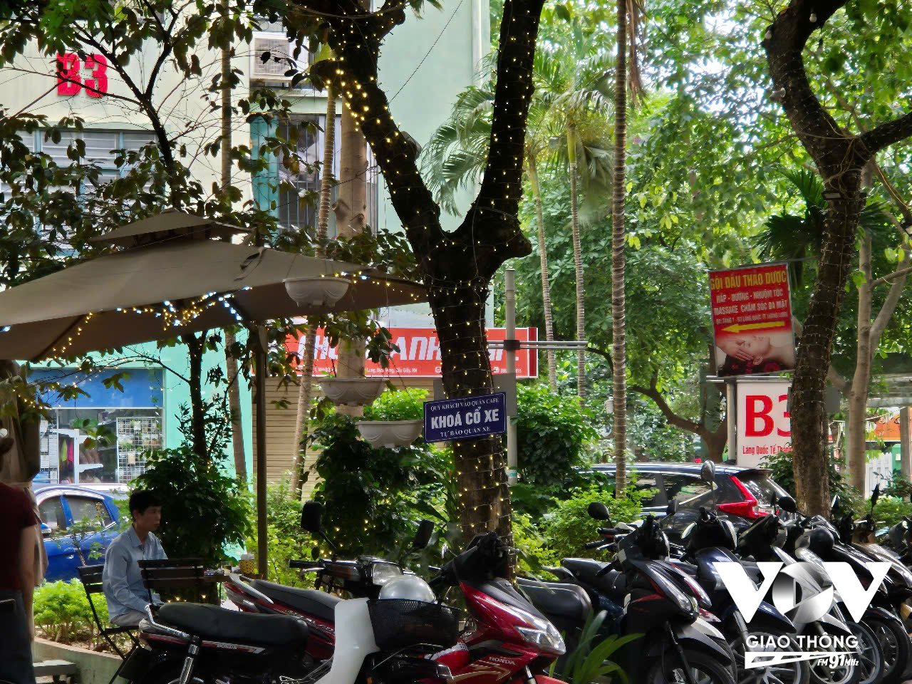 Biển hiệu, dây điện được đóng và treo trên các cây xanh