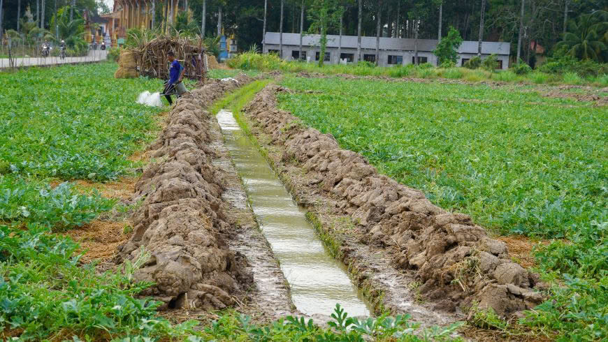 Nông dân đào mương dẫn nước để tưới cho dưa hấu trong mùa hạn, mặn 2025.