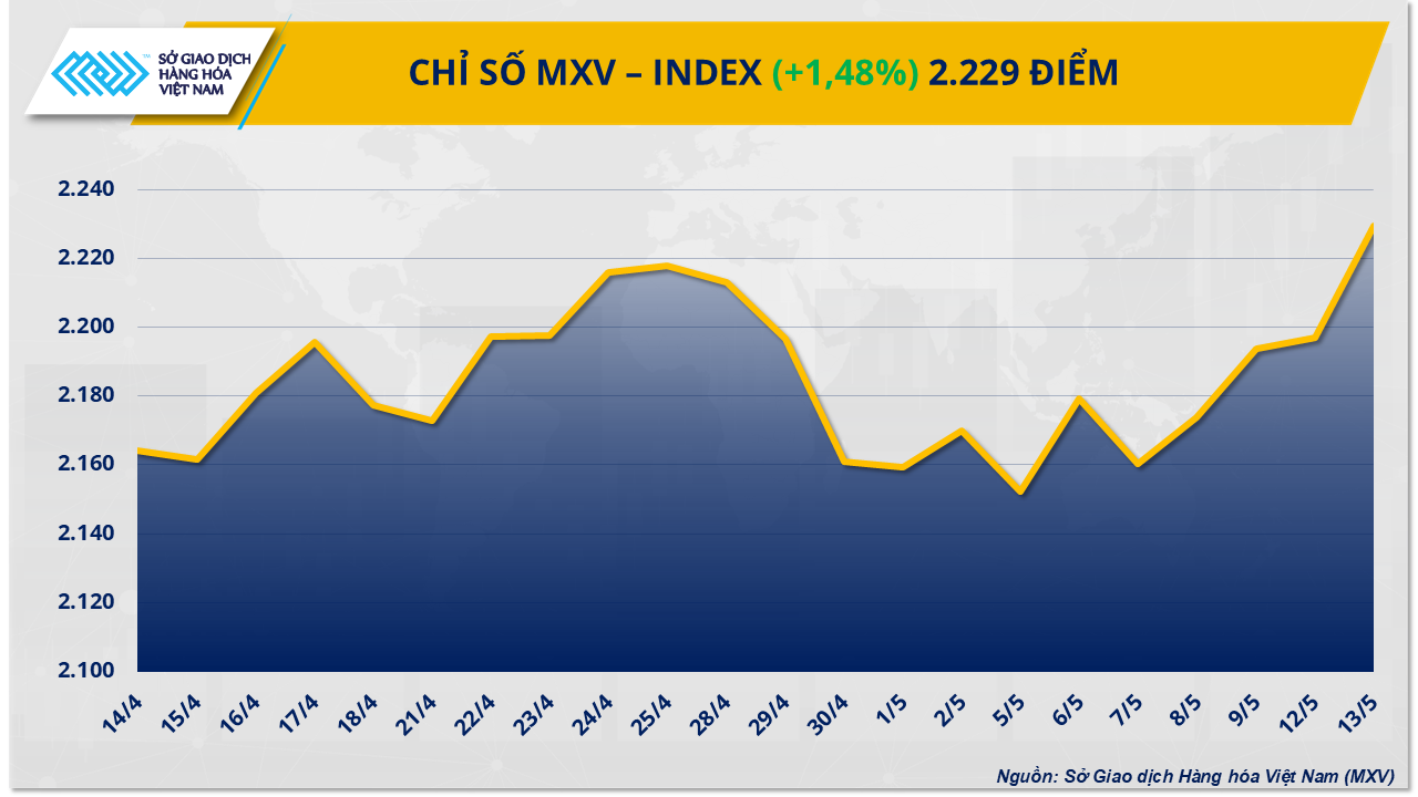 MXV-Index (33)