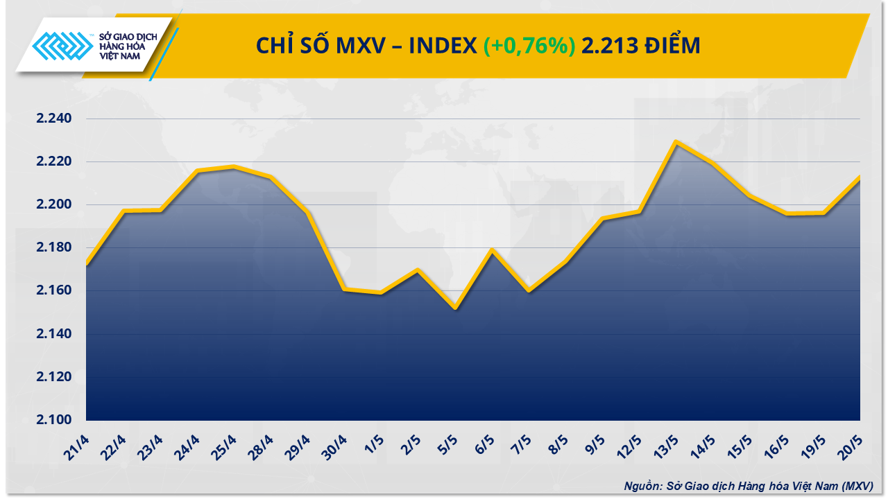 MXV-Index (36)
