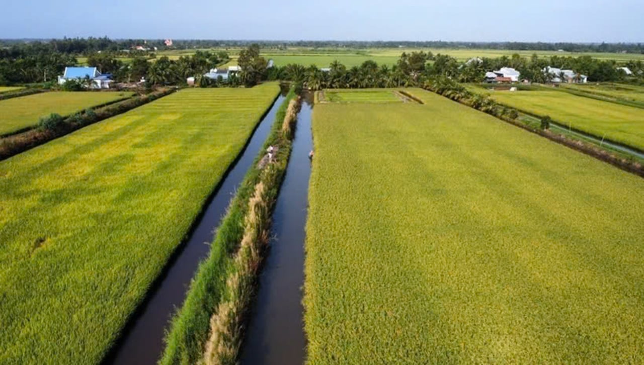 Giá trị to lớn nhất mà Chắc Băng đem lại cho dãy cư dân đôi bờ là mang những dòng phù sa từ các con sông thượng nguồn về bồi trúc cho vùng đất Thới Bình và Vĩnh Thuận, phục vụ sản xuất nông nghiệp.