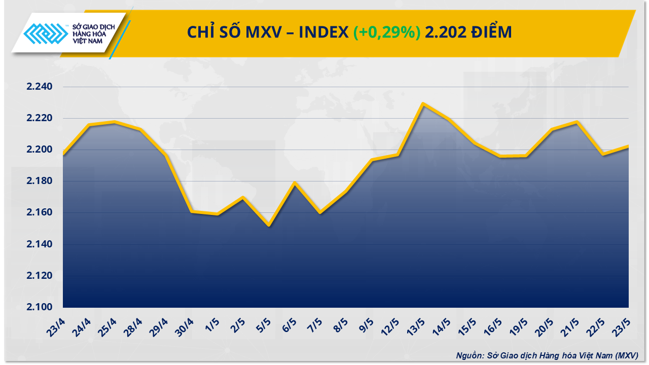MXV-Index (38)