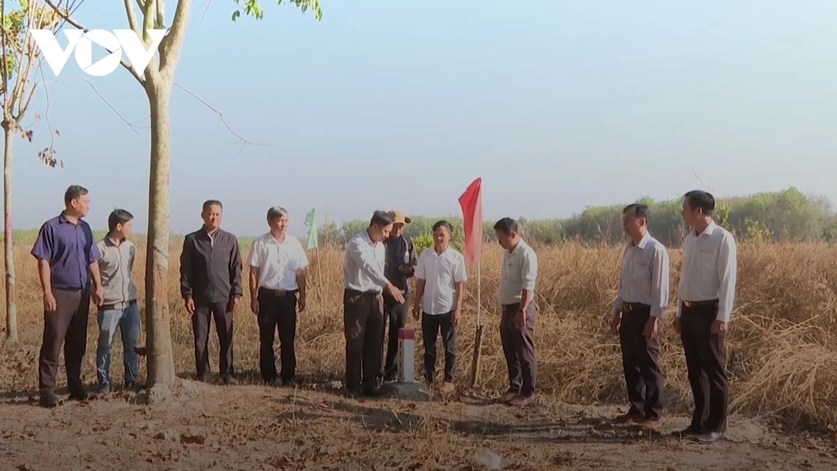 Cắm mốc Dự án cao tốc TP.HCM - Thủ Dầu Một - Chơn Thành đoạn qua Bình Phước