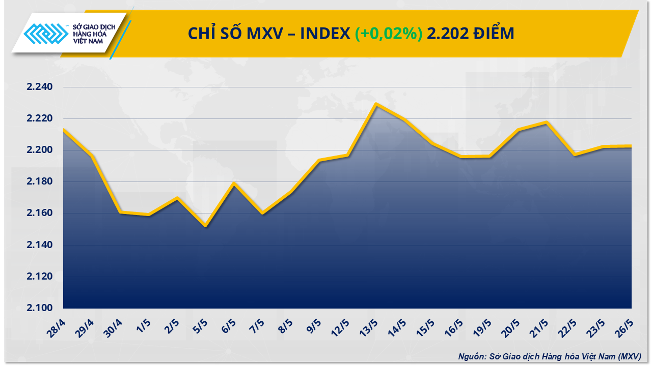 MXV-Index