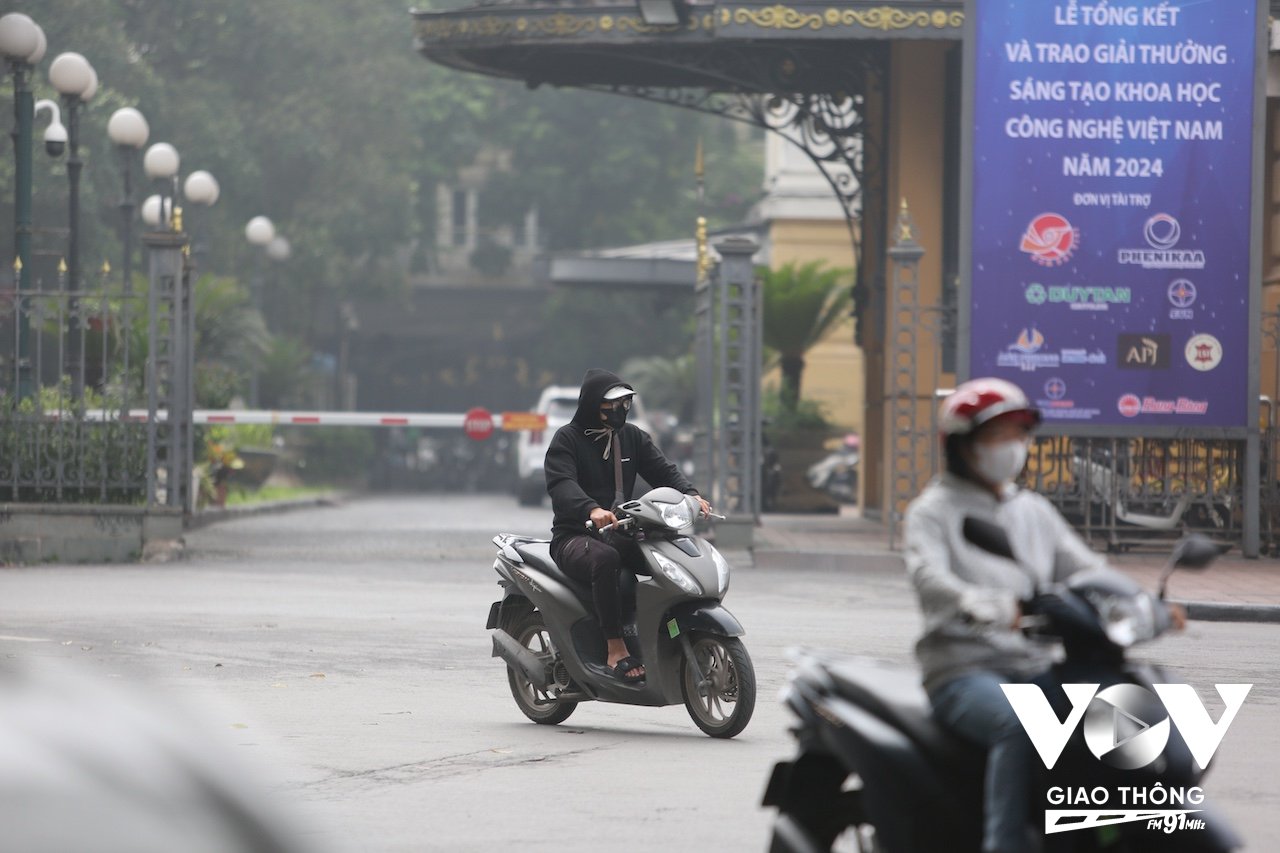 Co ro trong màn sương mù sáng sớm