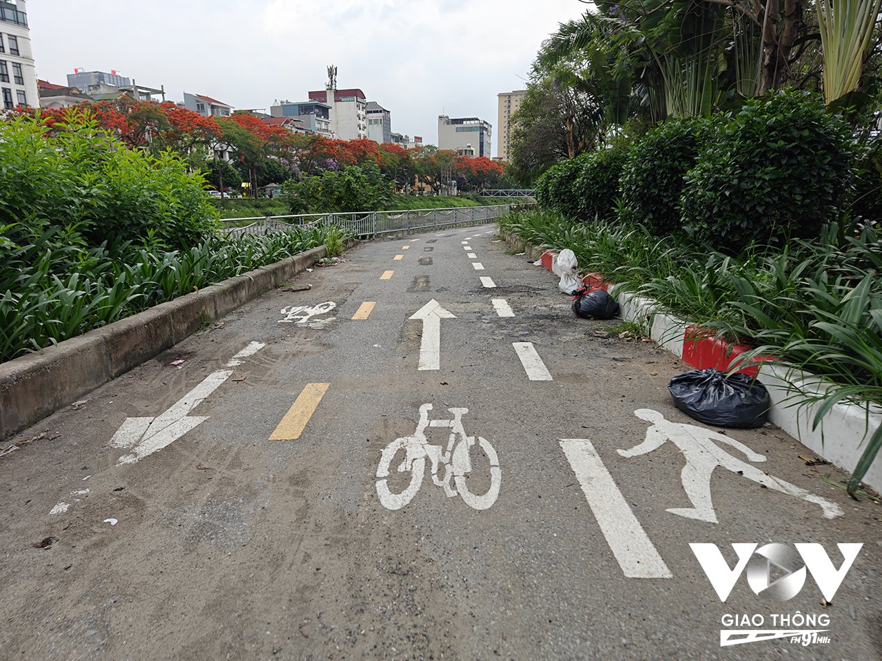 Tuyến đường xe đạp và đi bộ nằm ven sông Tô Lịch vắng người, nhiều rác thải. Ảnh: Chu Đức