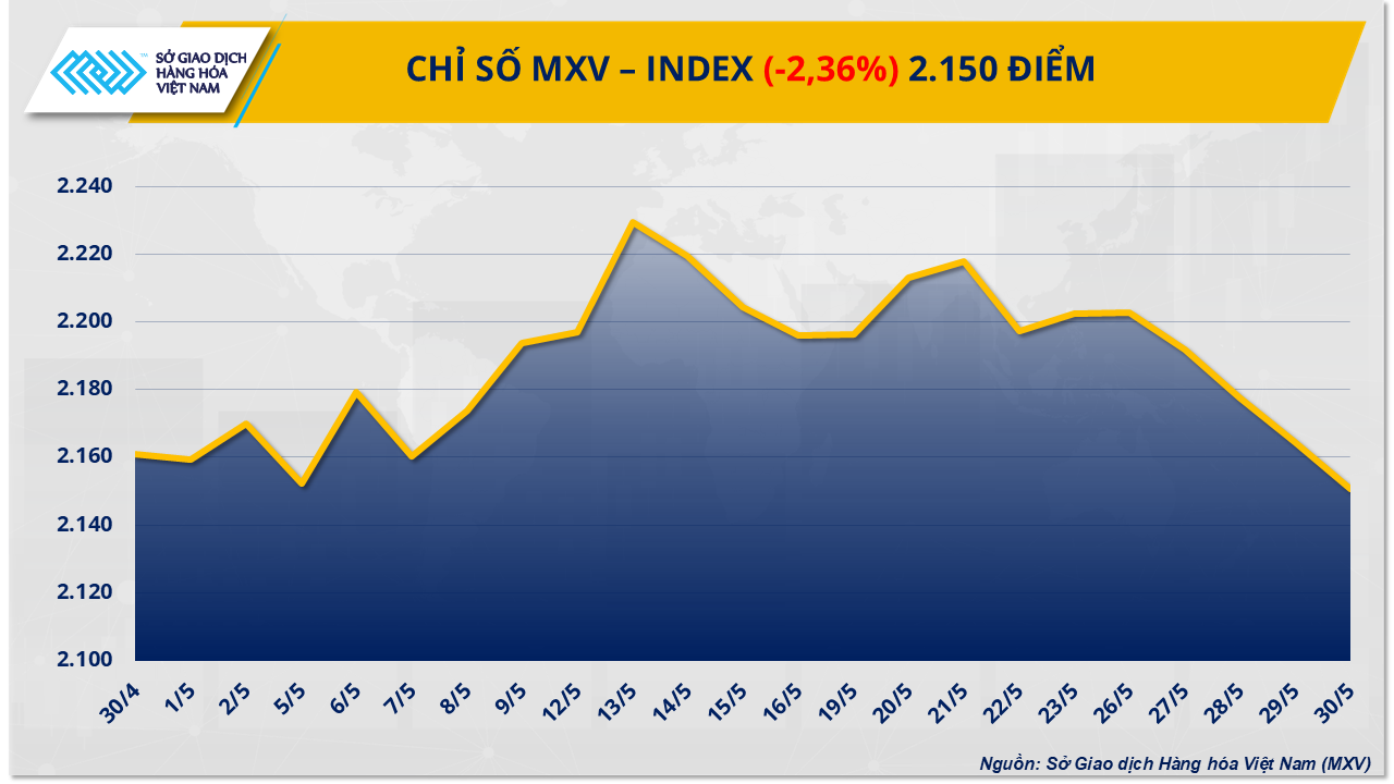 MXV-Index (40)