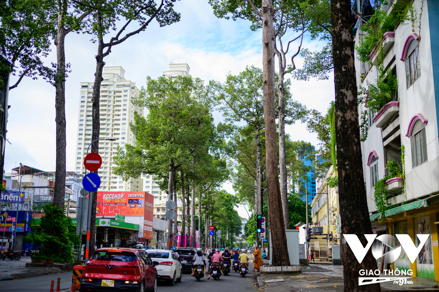 Nút thắt của công trình là việc phải bảo vệ hàng cây cổ thụ trên tuyến đường