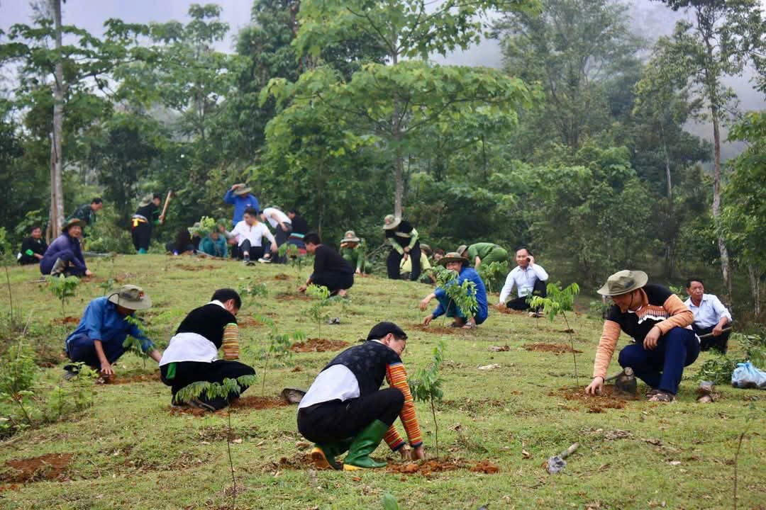 Sau gần 8 năm thực hiện, dự án ''Ước mơ triệu cây xanh'' đã đi đến chặng cuối và đem lại nhiều hiệu quả tích cực