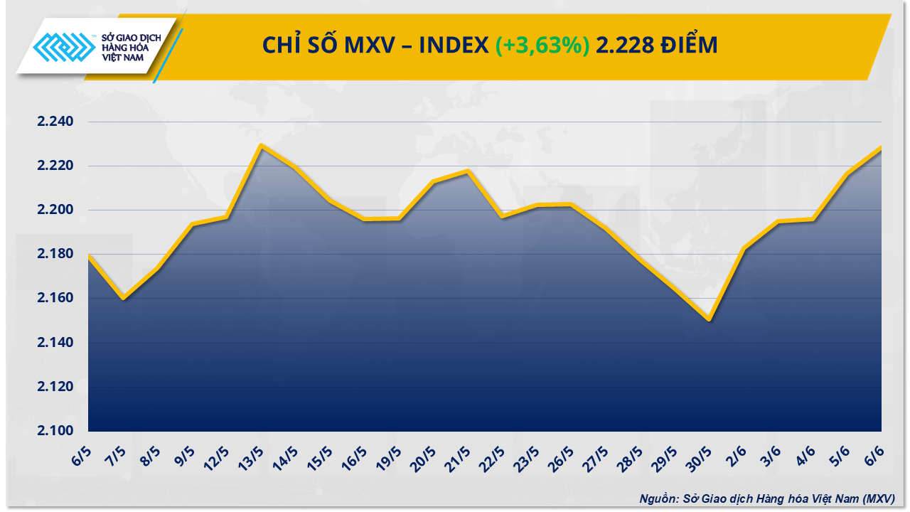 MXV-Index (43)