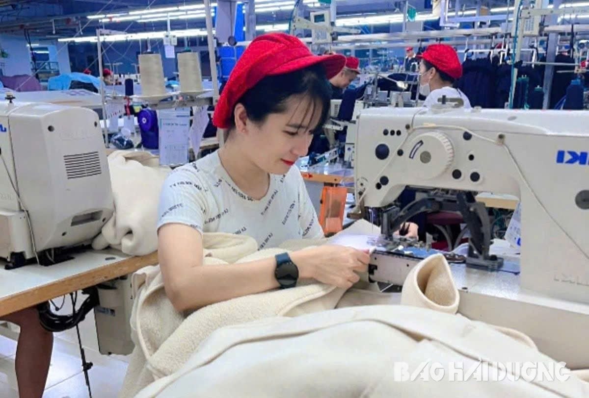 Lao động giản đơn là nhóm lao động doanh nghiệp có nhu cầu tuyển dụng nhiều nhất, chiếm tỷ lệ 81,26% (Ảnh minh họa: Báo Hải Dương)