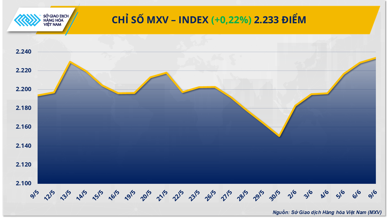 MXV-Index