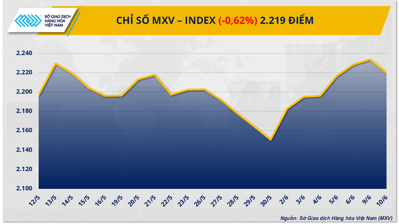 MXV-Index (44)